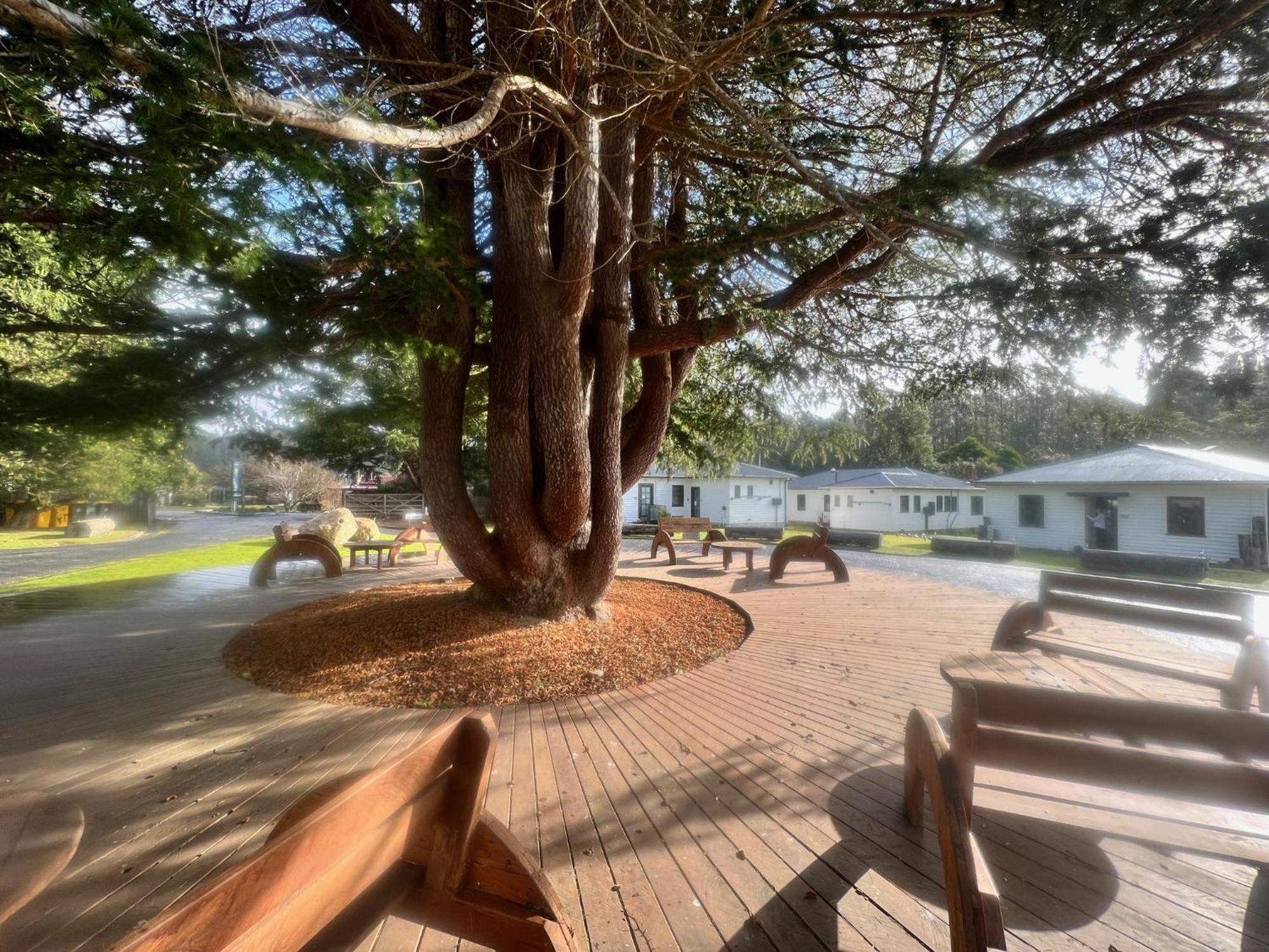 Giants Table And Cottages Maydena Exterior foto